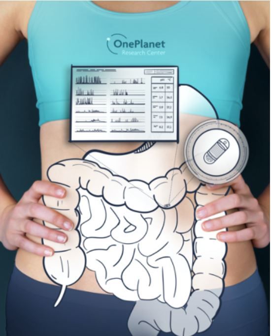 Newsletter #74 - A medical digital twin for gut health